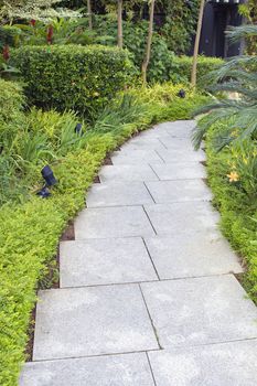 Granite Stone Square Pavers Garden Path with Trees Shrubs and Plants