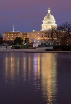 Christmas tree in early evening as sun setting over Washington DC