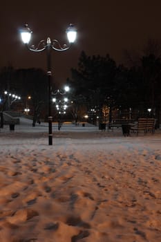 row of lanterns in park at winter night