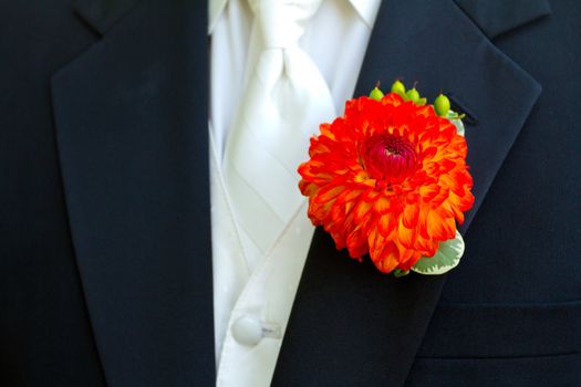 A groom and his boutonniere on his wedding day. He is wearing a suit with a single flower on the lapel of his jacket.