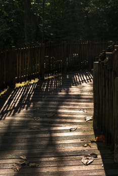 Wooden bridge as a shortcut to the wild tropical forest