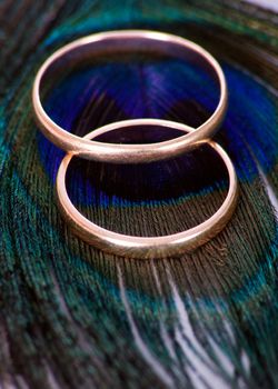 Wedding rings on the peacock transition