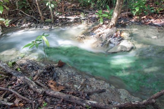 flow of nature water at Emerald pond in krabi, thailand