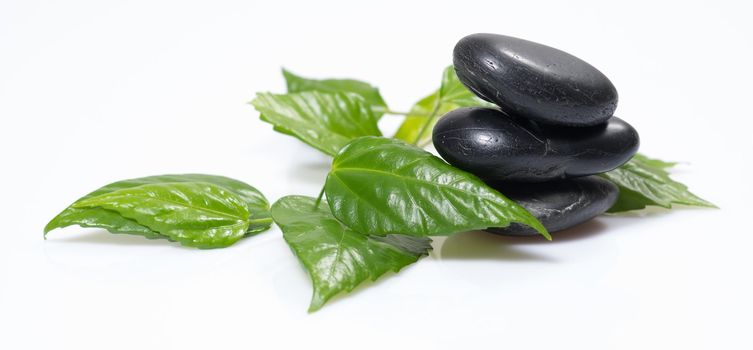 zen basalt stones and green leaves, still life