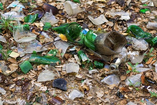 Shards of glass from the bottle on the ground