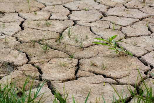 cracks in the land in rural areas