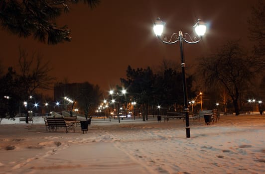 street lanterns in a park at winter night