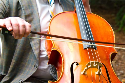 A close-up detail image of a man playing cello or bass at a wedding.