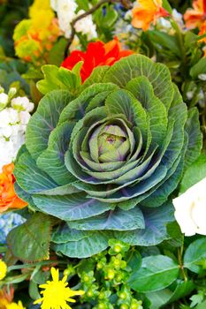 A succulent wedding flower in a vase at the ceremony and reception.