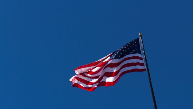 United States of America Flag