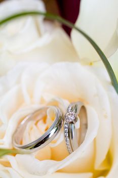 A bride and groom wedding rings photographed in an artistic wedding pictures sort of way with nobody in the image.