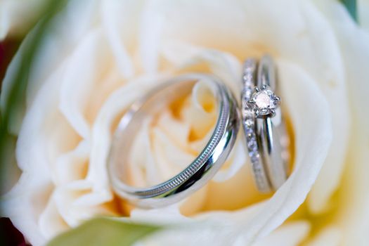 A bride and groom wedding rings photographed in an artistic wedding pictures sort of way with nobody in the image.