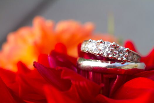 A bride and groom wedding rings photographed in an artistic wedding pictures sort of way with nobody in the image.