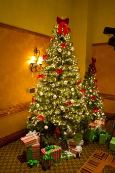 A beautiful Christmas tree with lights, ornaments, and presents under the tree.