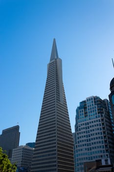 Transamerica Pyramid over a blue sky - copyspace