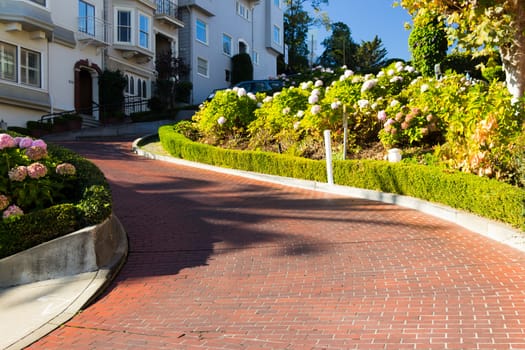 Lombard Street in San Francisco, USA