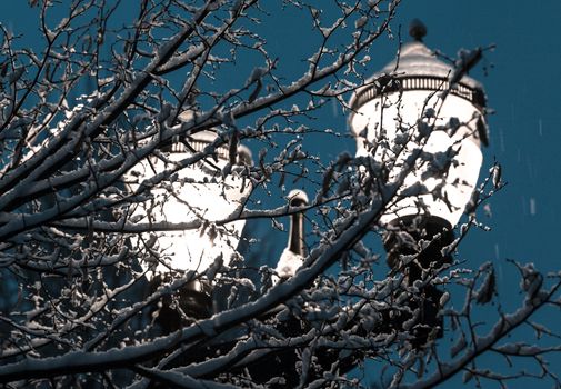 winter street light among snowy frozen tree branches
