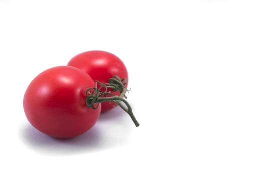 Ripe Tomatoes with vine isolated on a white background.