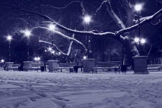 lanterns and benches in a park at winter night