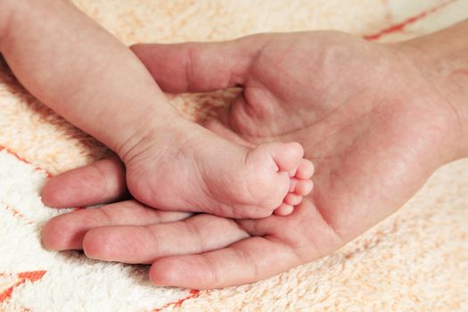 Parent hand hold baby girl legs