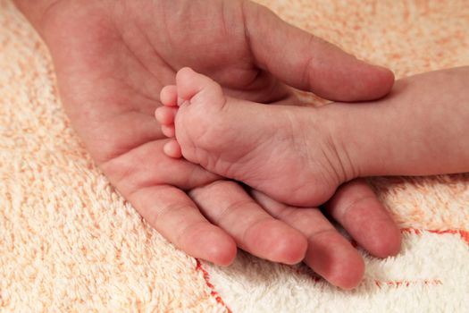 Parent hand hold baby girl legs