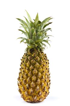 Fresh pineapple