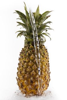 Pineapple with water splash