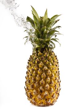 Fresh pineapple