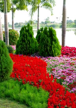 Romantic garden with river background in Chiang Rai, Thailand