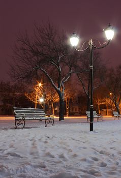 lantern in a park at winter night