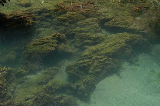 moss and stone in water at Tapom two water canal in krabi, thailand