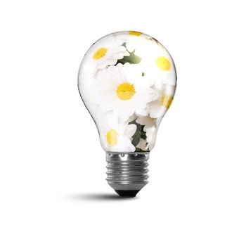 Illustration of an electric light bulb with clean and safe nature inside it Conceptual illustration