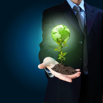 Young green plant in the hand of a businessman