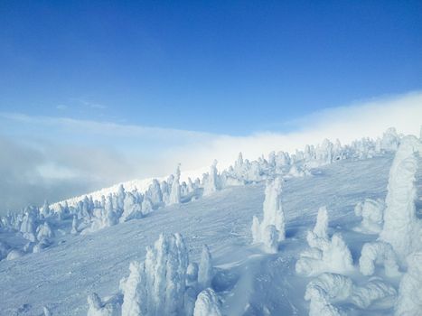 Beautiful sunny day on mountain top, smooth snowy hills and snow surface, clear and blue sky, cold windy day on glacier, winter