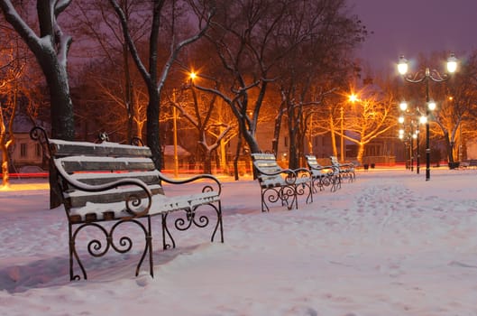 row of benches in park at winter night