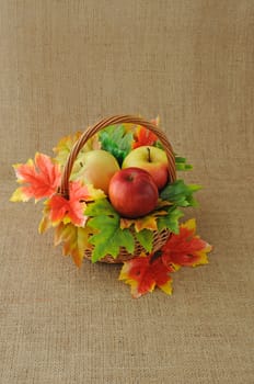 Basket of apples with autumn leaves

