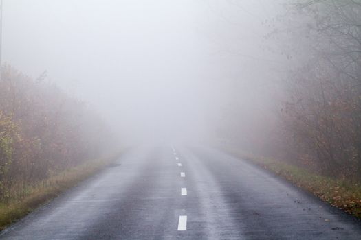 Asphalt road in an autumn fog