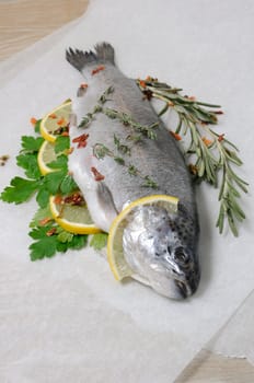 Fresh trout with lemon and spices on paper