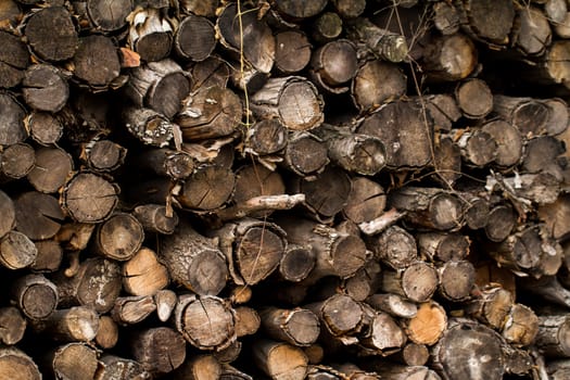 Winter firewood stacked in a pile