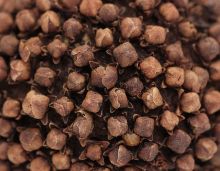 Closeup of many cloves stuck into a fragrant orange pomander