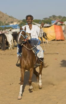 Man riding a horse at the annual Pushkar Camel Fair in Rajasthan, India