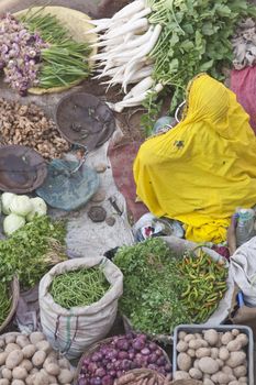 Indian lady in yellow sari selling fruit and veg at a street market in Pushkar, Rajasthan, India







SONY DSC