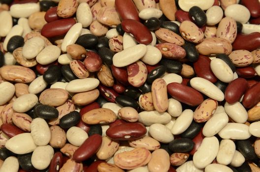 A colored choice of mixed dry beans