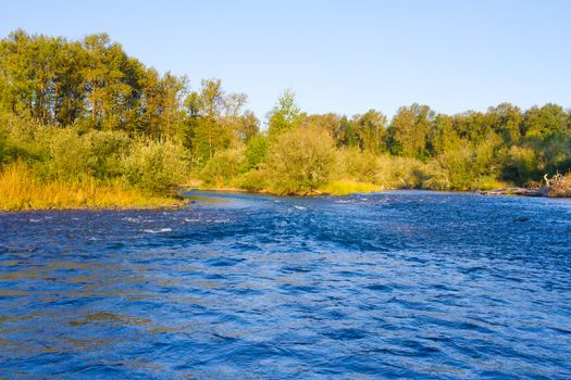 A small tail-out whitewater rapids on the Willamette River in Oregon.