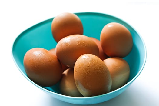 Brown eggs in blue bowl on white background