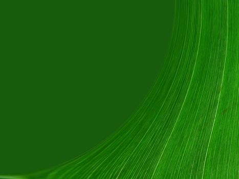 design of green abstrcat seamless fine patterns as texture and background