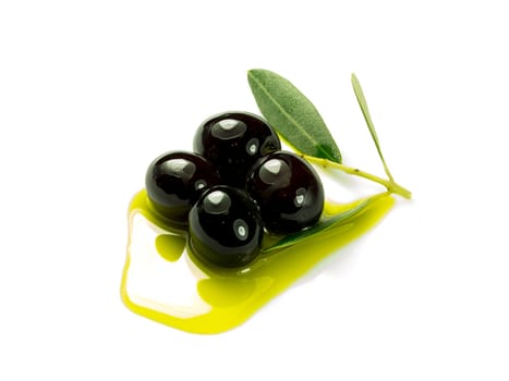 An olive branch with three premium olives on some olive oil on a white background.