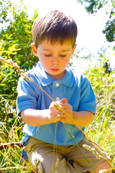 A young child is playing in a blue polo shirt near some farm equipment outdoors.