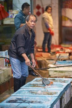 Man selling fish at an open air fish market in Kowloon, Hong Kong