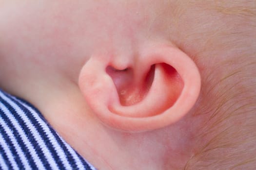 The ear of a newborn baby boy from the side.